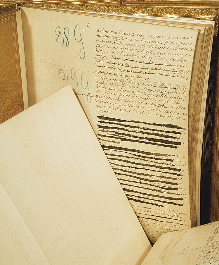 Edmond de Goncourt comparable auction result: edmond de goncourt 1822 1896 journal 1872 1873 1874 1875 1876 et 1877
