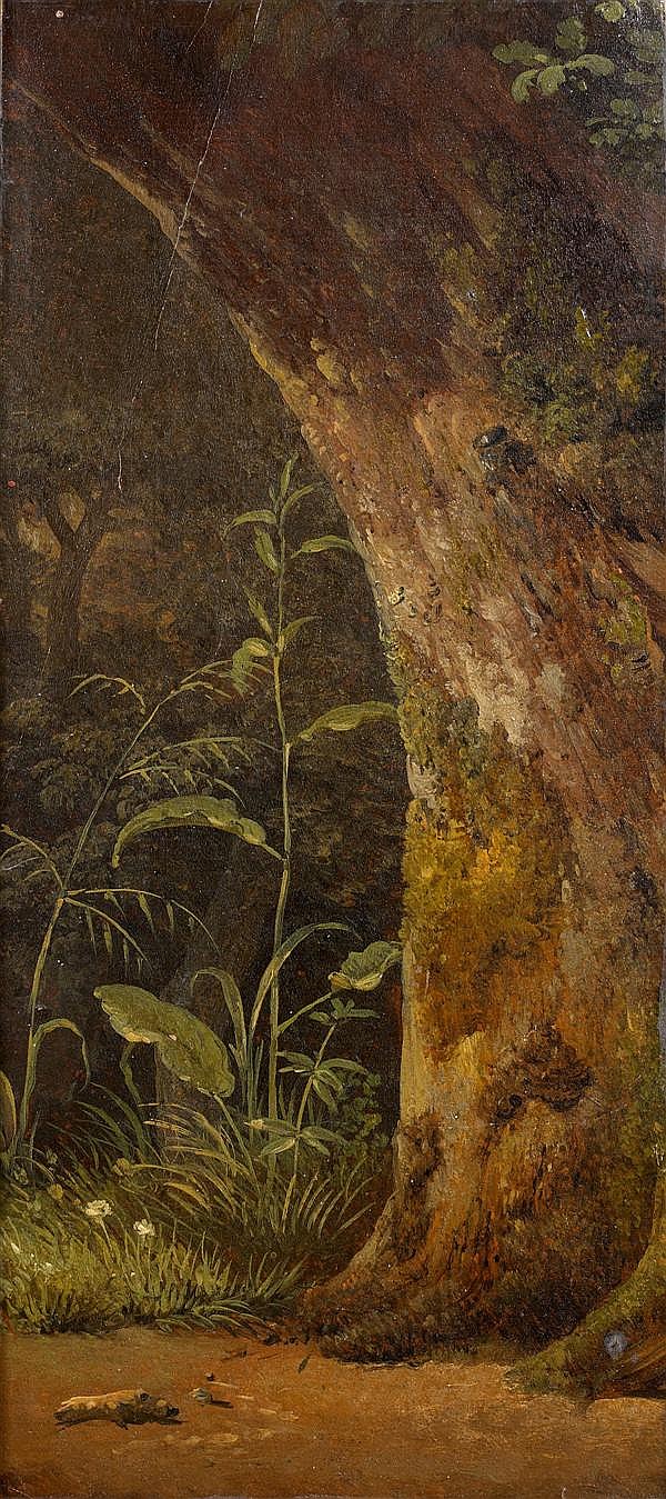 Simon Denis comparable auction result: simon denis anvers 1755 naples 1813 un ch ne dans un sous bois papier filigrane fragmentaire honig zoonen coin sup rieur dro
