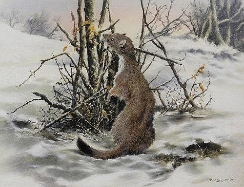 Seerey Lester comparable auction result: seerey lester a stoat in snowy landscape