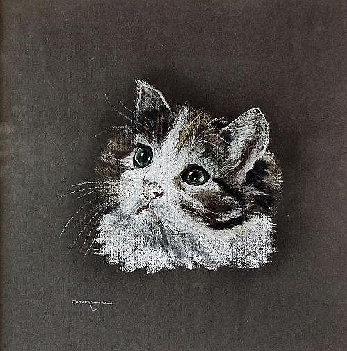 Peter Ward comparable auction result: peter ward pastel drawing head of a tabby cat