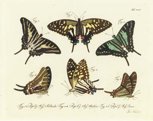 carl gustav jablonsky 1756 1787 · Christie's · 2004-03-03 Carl Gustav Jablonsky comparable auction result: carl gustav jablonsky 1756 1787