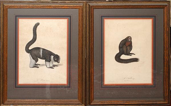 Jean Baptiste Audebert comparable auction result: jean baptiste audebert engravings two by finot 16 x 11 1 2 monkeys