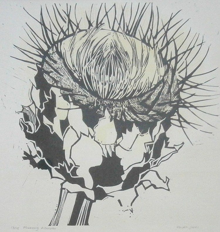 Olwen Jones comparable auction result: olwen jones b 1945 flowering artichoke artist