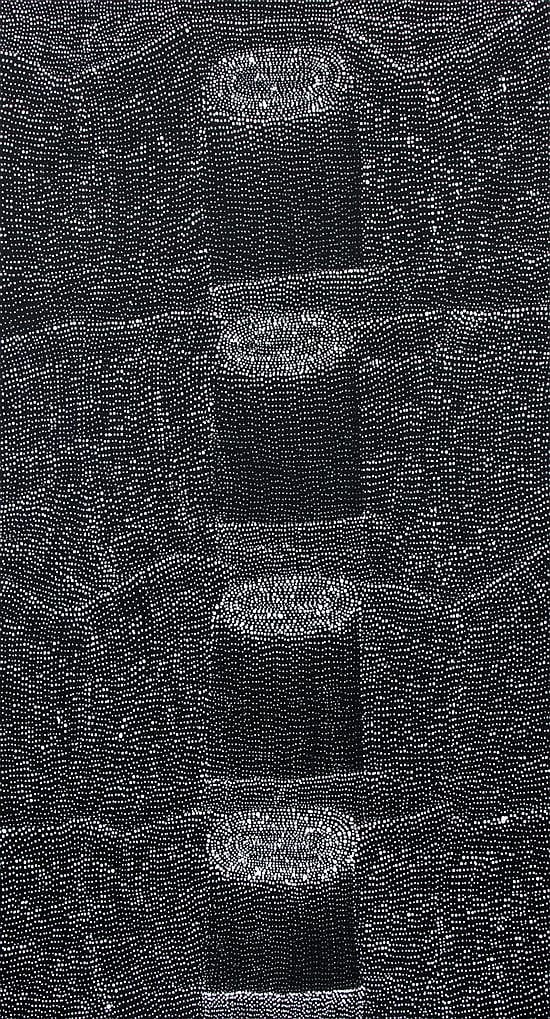 Dolsi Kelly Napangardi comparable auction result: dolsi kelly napangardi rock holes acrylic on linen