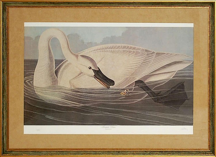 M. Bernard Loates comparable auction result: m bernard loates b 1945 signed ltd ed audubon litho