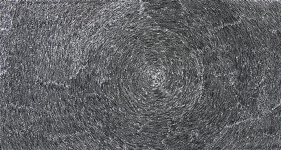 Sabrina Robertson Nungala comparable auction result: sabrina robertson nungala mina mina milkyway acrylic on linen