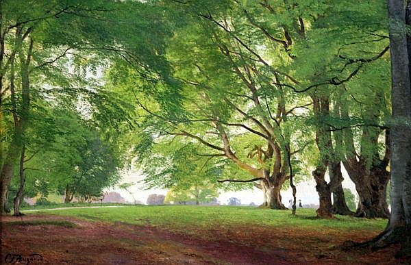 Carl Frederik Aagaard comparable auction result: carl frederik aagaard 1833 1895 beech trees in summertime 15 5 x 23 5in