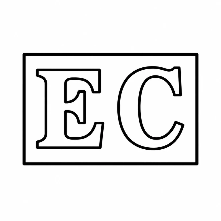E C: Two letters and the rectangular punch boundary remain in the photographed orientation. line reconstruction.