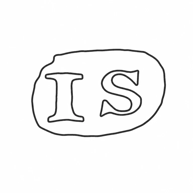 John Sidaway: The irregular single cartouche and two upright letter forms retain the photographed orientation and source-relative placement. line reconstruction.
