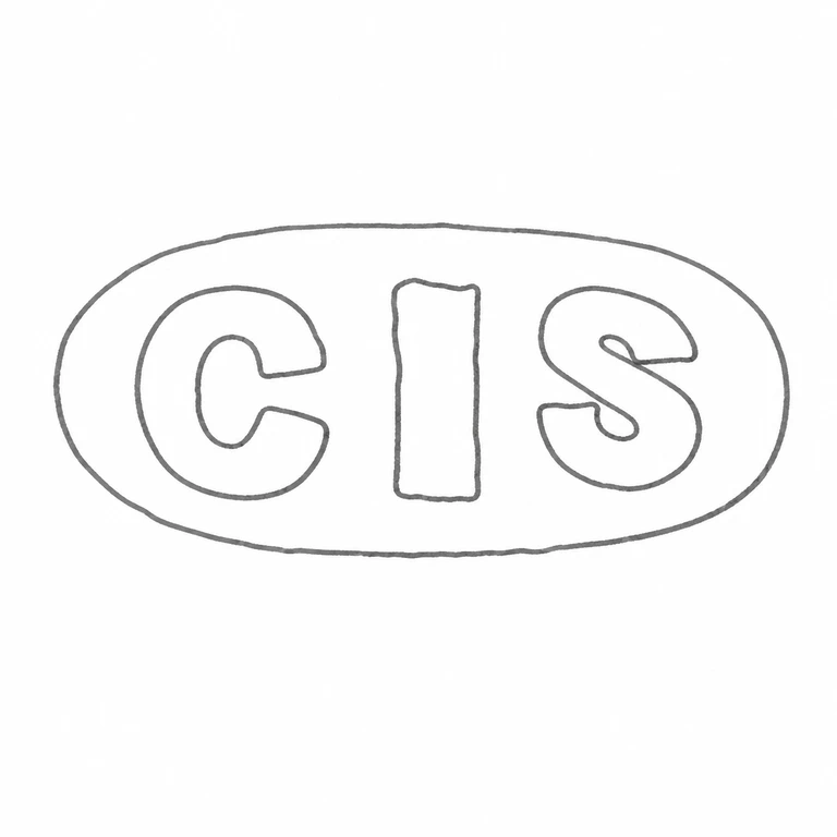 C I S: CIS oval cartouche preserve source reading direction and count; line reconstruction.