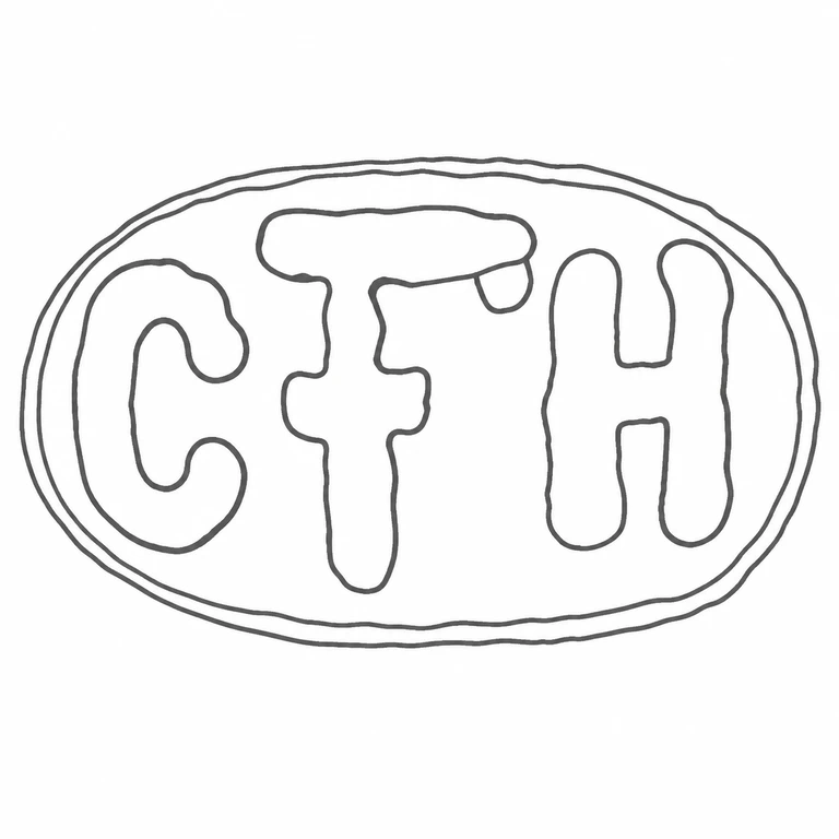 Charles F Hall: CFH sequence double-rim oval cartouche are retained without the source's reflected tonal detail; line reconstruction.