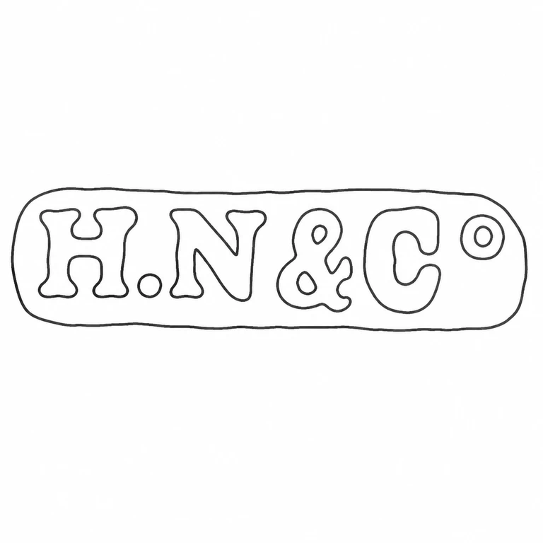 H N & Co: H dot N ampersand C with raised final o, rounded rectangular cartouche, retain the source sequence and orientation; line reconstruction.